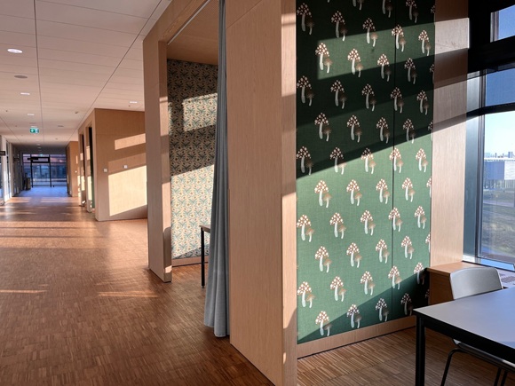 Moderne gangområde med små studiepladser indrettet med træpaneler og stofbeklædte vægge. Ét område har grønt stof med svampemønster, mens et andet har et bladmønster. Sollys kaster skygger gennem de store vinduer.