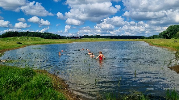 Foto af kunstig anlagt sø ved Syddansk Universitet med badende
