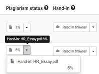 Screenshot from the Digital Exam system