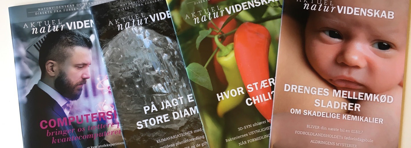 Four overlapping AKTUEL naturVIDENSKAB magazine covers showing a man, a crystal, chili peppers, and a baby, with Danish cover headlines.
