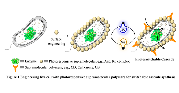 Figur, der forklarer processen