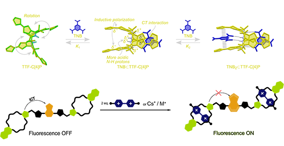 Diagram over funktion af chemosensor