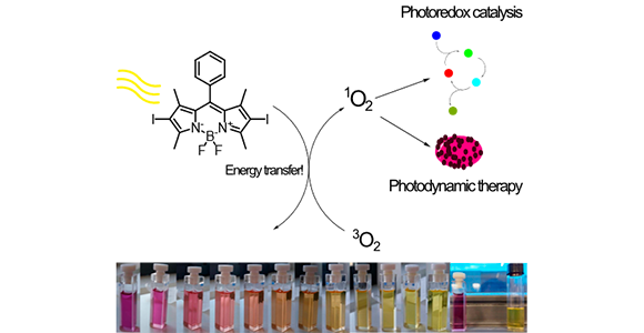 Diagram over funktion af farvestof