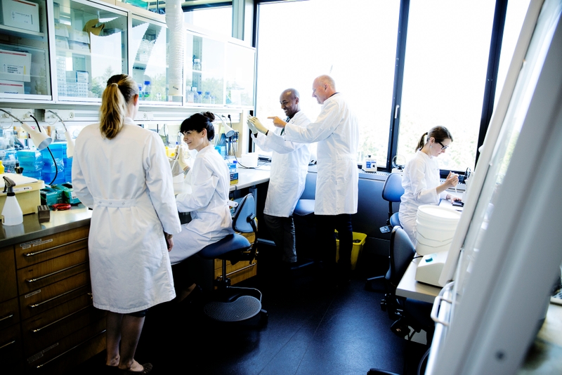 En gruppe forskere i et laboratorie
