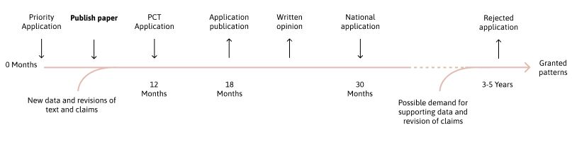 Overview of Patenting Process for Commercialisation