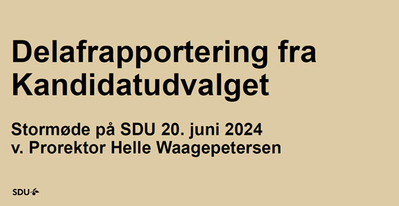 Stomøde på sdu