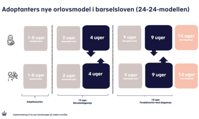 Adoptant ny orlovsmodel - 24-24-modellen