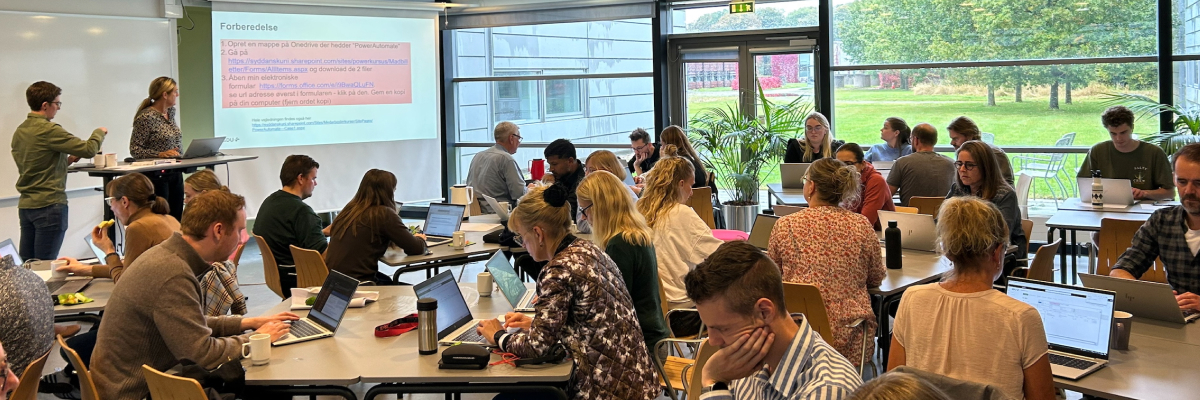 Netværksmøde i Power Platformen.