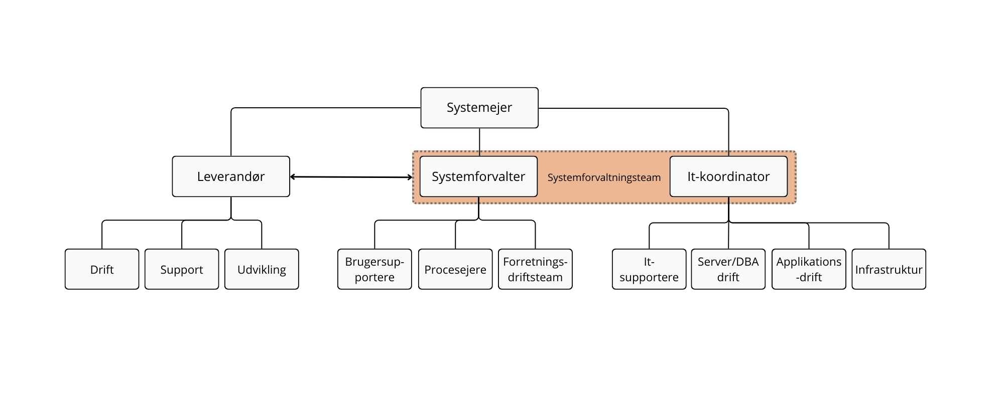 Eksempel på en systemforvaltningsorganisering og de forskellige roller.