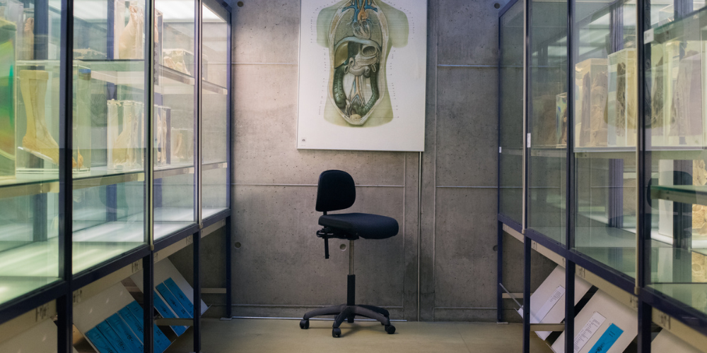 Eksempel på Related Article