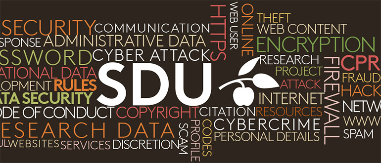 Datasikkerhed på SDU